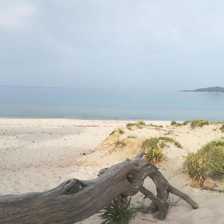 Casa Al Mare Con Giardino Villa อาลเกโร ภายนอก รูปภาพ