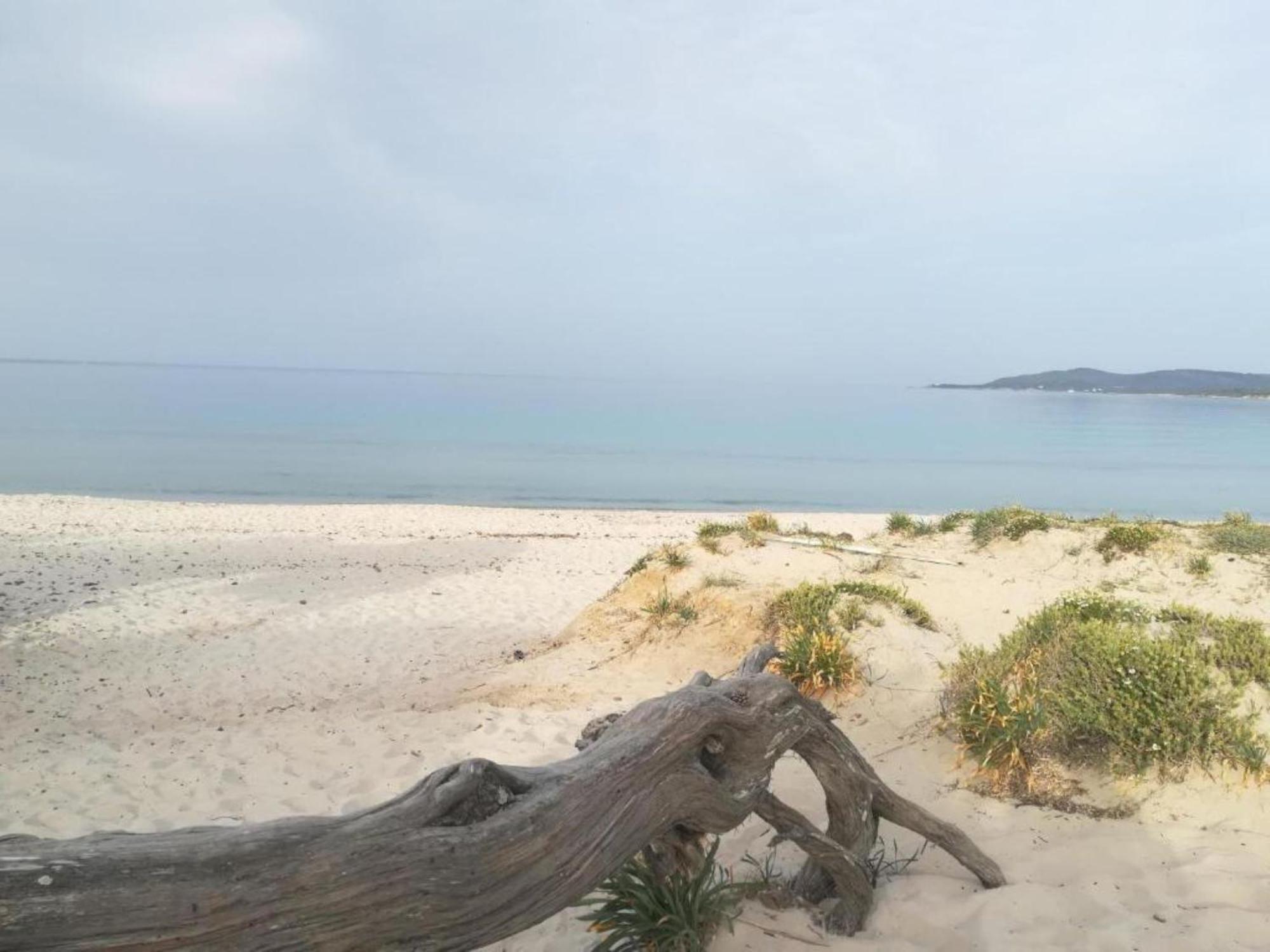 Casa Al Mare Con Giardino Villa อาลเกโร ภายนอก รูปภาพ