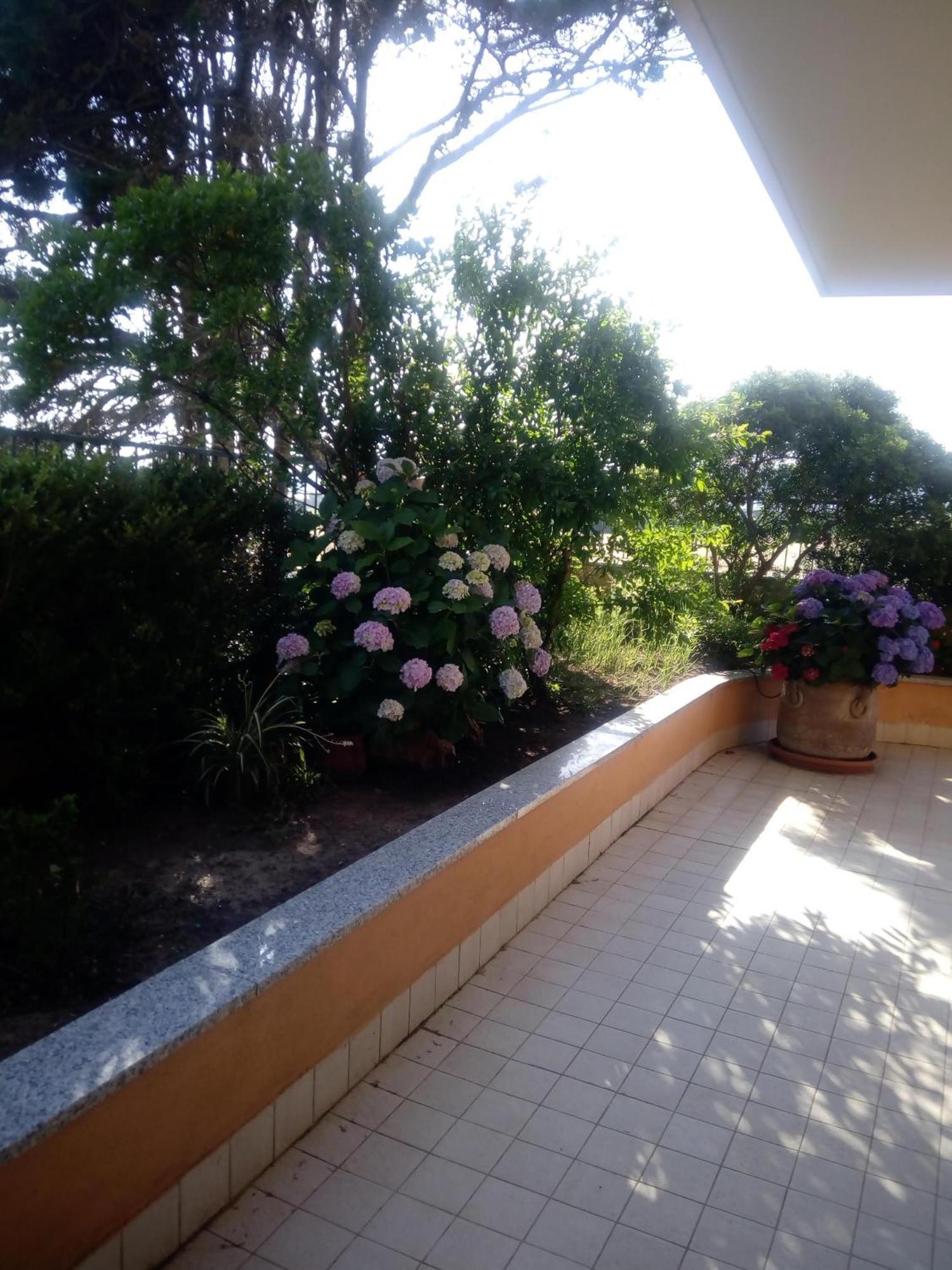 Casa Al Mare Con Giardino Villa อาลเกโร ภายนอก รูปภาพ
